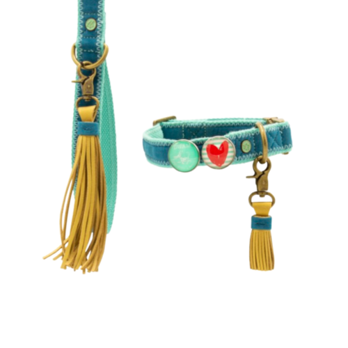 Set Collare e Guinzaglio | STREETWEAR STORM