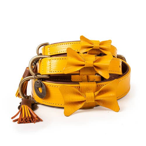 Collare per Cani | CITY BIBI