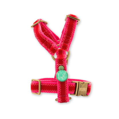 Set Pettorina e Guinzaglio | STREETWAER SNOOPY